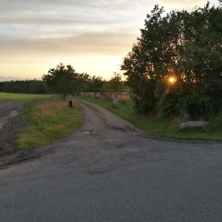 Haervejsly - Perfekt Familiebase Til Oplevelse Af Sydjylland Give Exterior foto