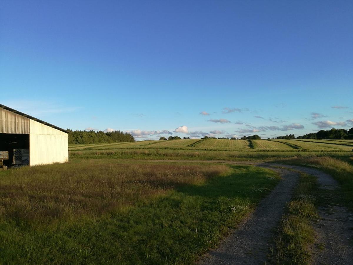 Haervejsly - Perfekt Familiebase Til Oplevelse Af Sydjylland Give Exterior foto