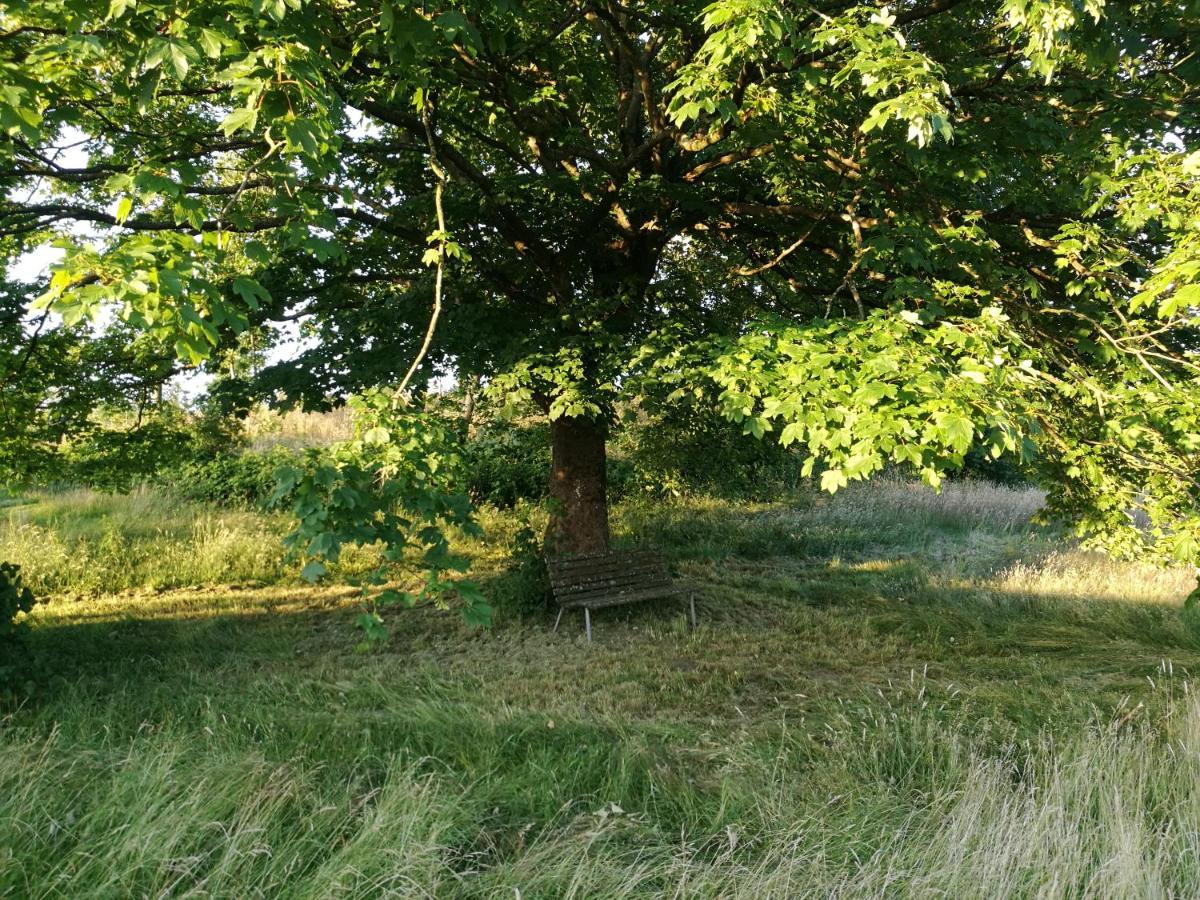 Haervejsly - Perfekt Familiebase Til Oplevelse Af Sydjylland Give Exterior foto