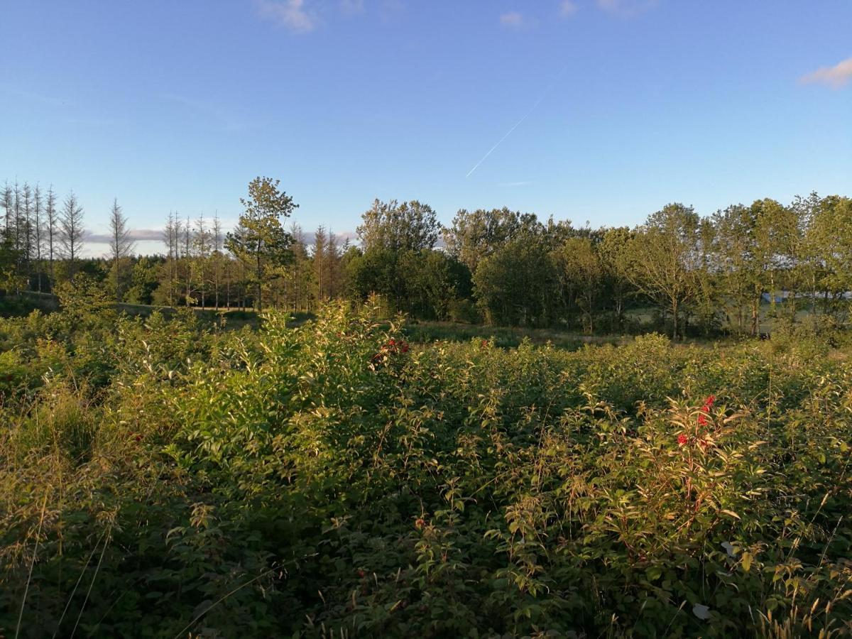 Haervejsly - Perfekt Familiebase Til Oplevelse Af Sydjylland Give Exterior foto