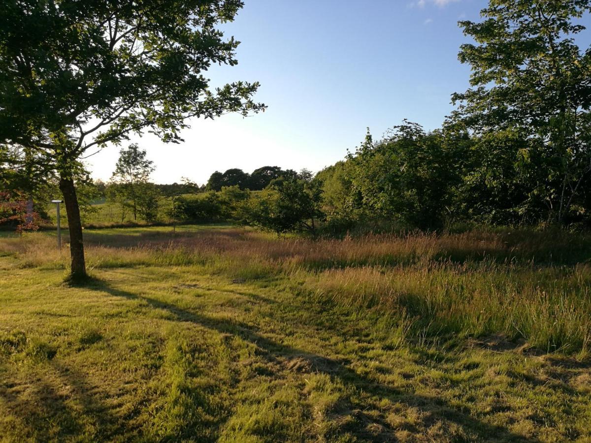 Haervejsly - Perfekt Familiebase Til Oplevelse Af Sydjylland Give Exterior foto