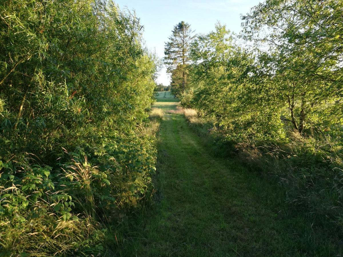 Haervejsly - Perfekt Familiebase Til Oplevelse Af Sydjylland Give Exterior foto