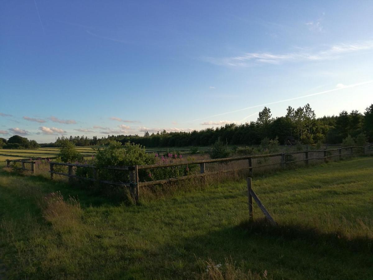 Haervejsly - Perfekt Familiebase Til Oplevelse Af Sydjylland Give Exterior foto