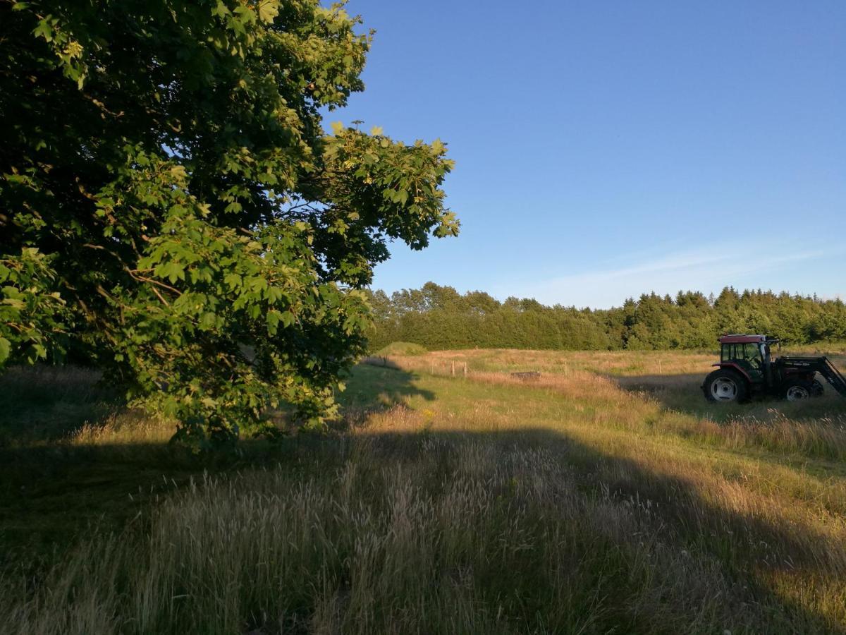 Haervejsly - Perfekt Familiebase Til Oplevelse Af Sydjylland Give Exterior foto