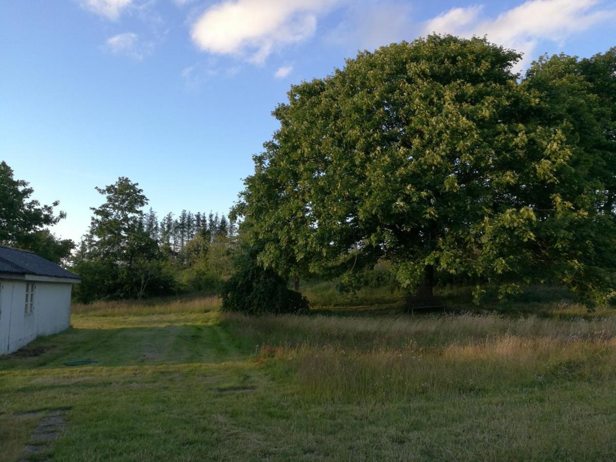 Haervejsly - Perfekt Familiebase Til Oplevelse Af Sydjylland Give Exterior foto