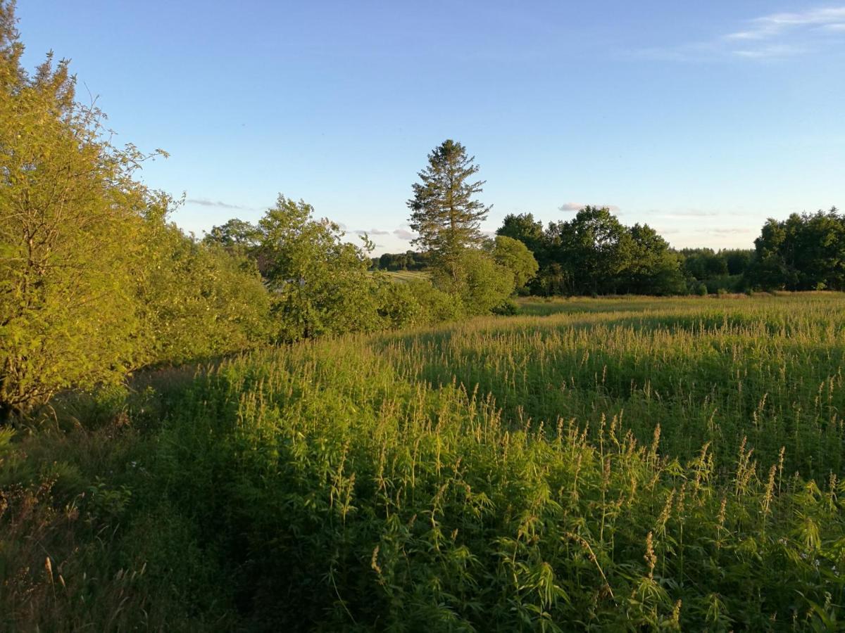 Haervejsly - Perfekt Familiebase Til Oplevelse Af Sydjylland Give Exterior foto