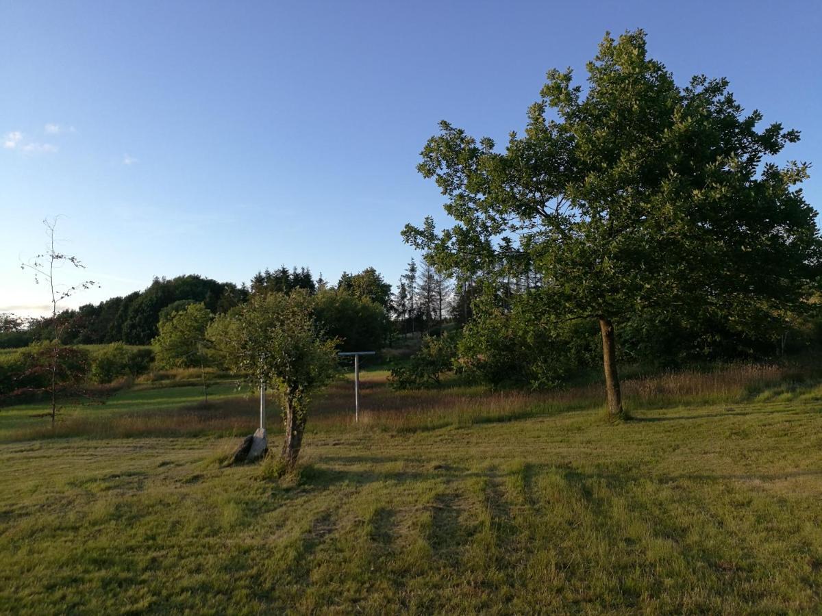 Haervejsly - Perfekt Familiebase Til Oplevelse Af Sydjylland Give Exterior foto