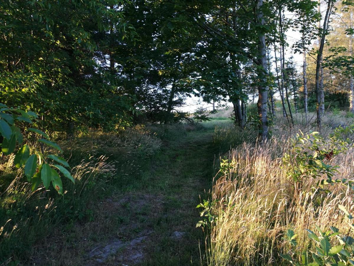 Haervejsly - Perfekt Familiebase Til Oplevelse Af Sydjylland Give Exterior foto