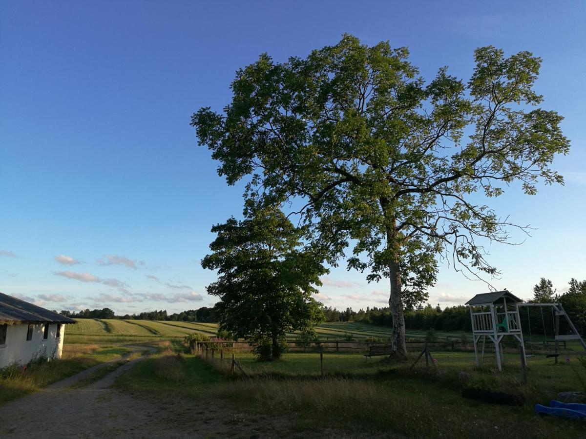 Haervejsly - Perfekt Familiebase Til Oplevelse Af Sydjylland Give Exterior foto