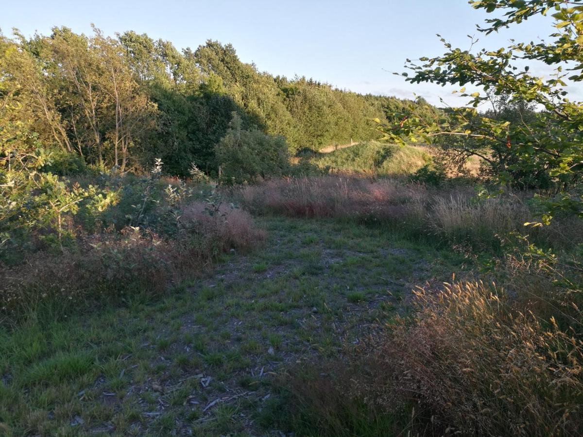 Haervejsly - Perfekt Familiebase Til Oplevelse Af Sydjylland Give Exterior foto